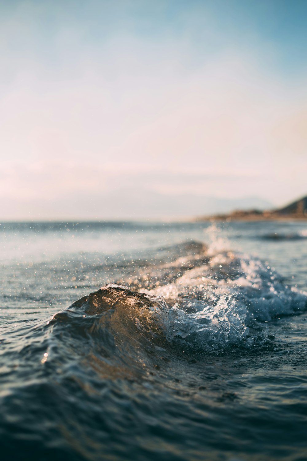 Wild swimming