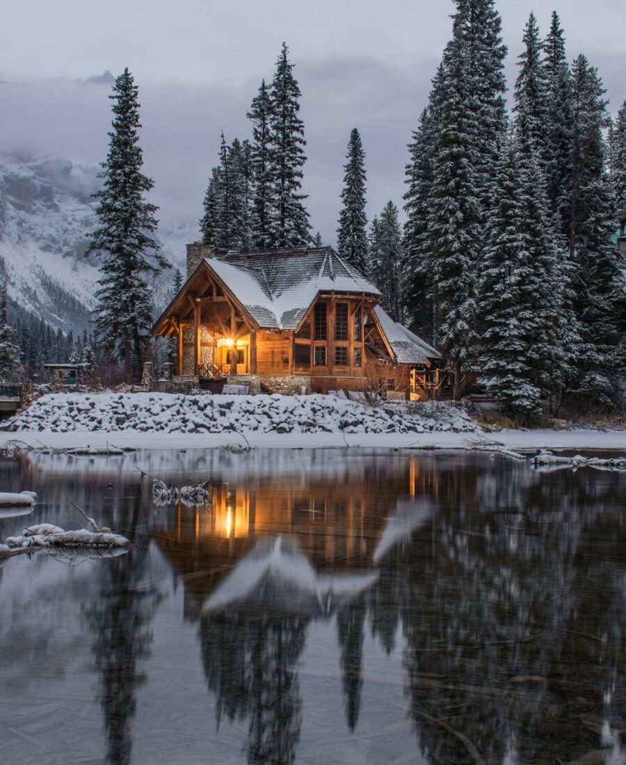 Forest Cabin